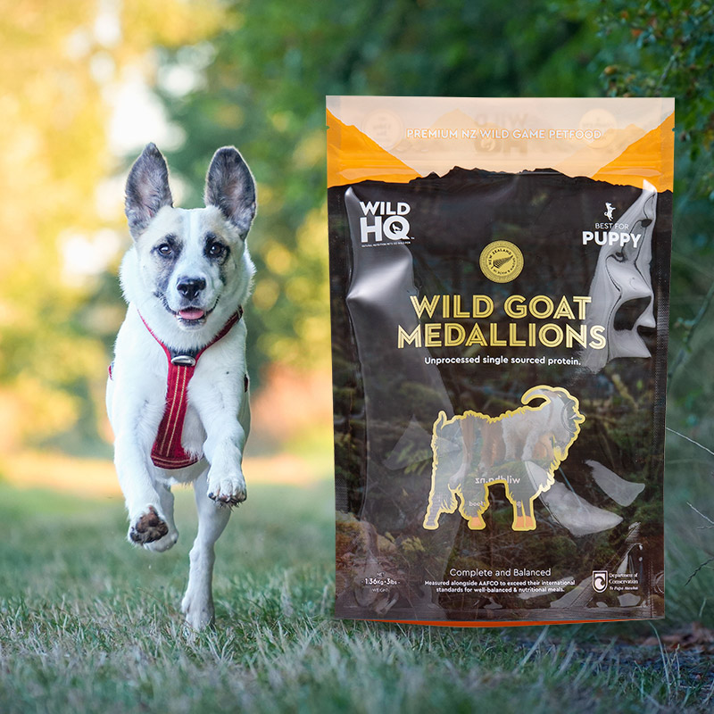 Fargerik miljøvennlig digital utskrift - kaffepose med lav pose